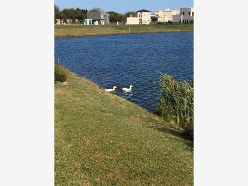 Imagen 5 de 6 de Lote A La Venta En Golondrinas