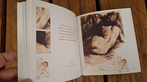 Dibujos Eróticos - Erotismo Ilustrado, 1o Ed. 2007 (40) (Usado)