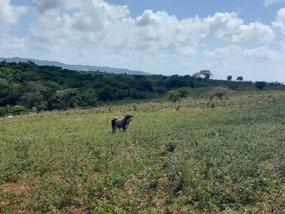 Hacienda-Finca en venta