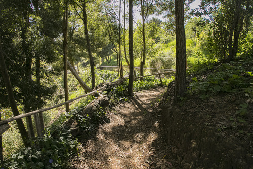 Reserva Natural En Punta De Lobos