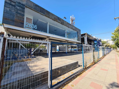 Arrienda Vende 500 Y 1500 M2 (167343)