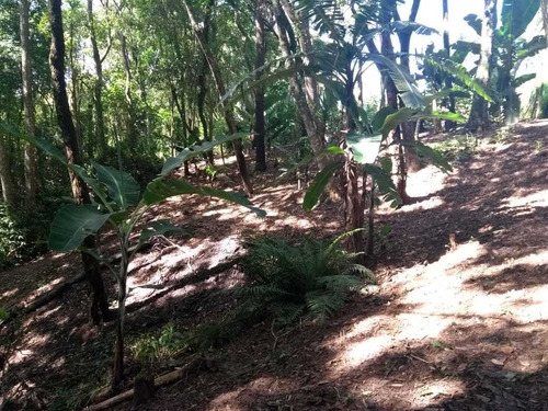 Imagem 13 de 14 de 2.500 M², Casa Com 02 Dormitórios, Salão De Festa E Piscina!