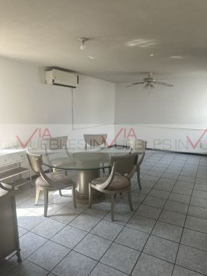 Tampiquito San Pedro