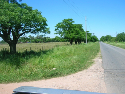 Imagen 7 de 8 de Alquiler Campo Centro Mariano Acosta, Muy Bueno
