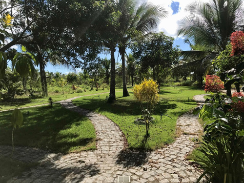 Fazenda Com 5,5ha A Casa Tem 495m2 Construído Em 2 Andares. Piscina Natural. O Imóvel E Perfeito Para Plantar Café Ou Cacau