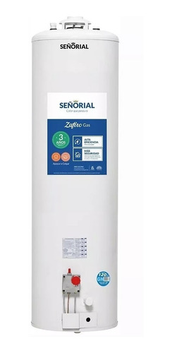 Termotanque Gas 120 Señorial Pié Envío Caba  