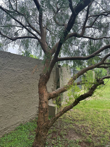 Venta Terreno Barra De Carrasco