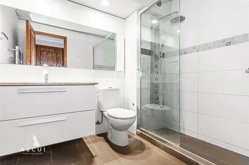 Amplio Departamento En Venta De 3 Dorm. En Providencia