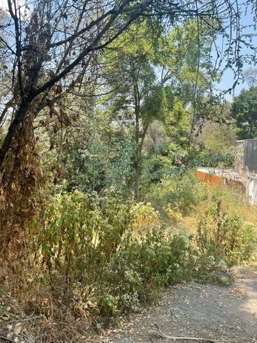 Terreno En Venta En Constituyentes: Lomas Altas
