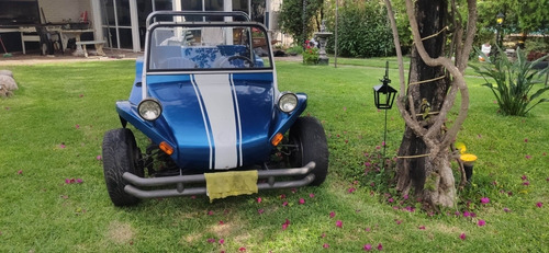 Buggy Puelche