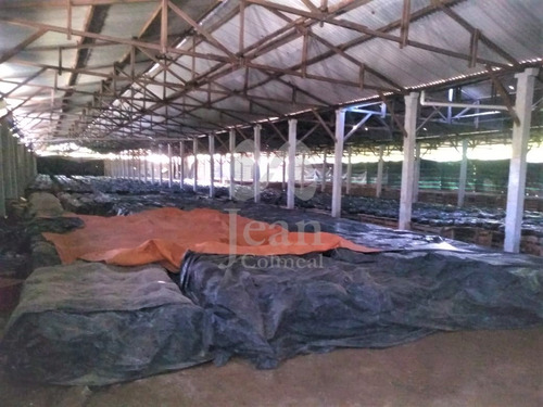 Imagem 7 de 15 de Terreno À Venda, Cocuera, Mogi Das Cruzes, Sp - Sp - Te0001_colmea