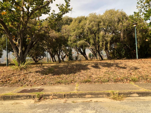 Santa Paula - Terreno - 740 Mts
