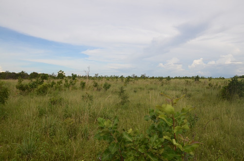 Imagen 5 de 28 de Se Vende Linda Finca En Oritupano