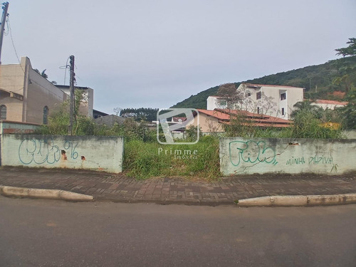 Imagem 3 de 4 de Terreno A Venda Em Balneário Camboriú - Nova Esperança - 6834