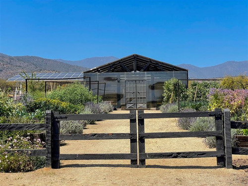 Imagen 9 de 29 de Sitio En 3 Has En Venta - Catapílco, Zapallar