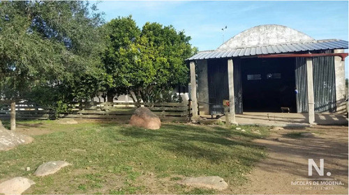 En Venta Campo Criador En Montevideo - Treinta Y Tres.