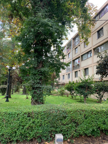 Arriendo Departamento Primer Piso 2d 1b En Antonio Varas