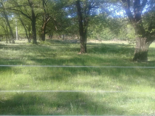 Imagen 3 de 10 de Los Reartes Vendo 2 Terrenos Juntos De 1100m2 Cada Uno