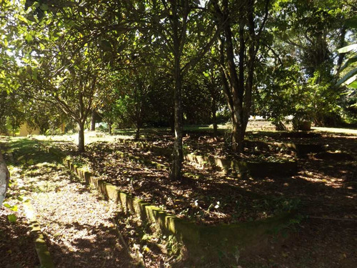 Imagem 9 de 24 de Casa De Condomínio Com 4 Dorms, Chácara Recanto Bela Vista, Itapecerica Da Serra - R$ 750.000,00, 40.000m² - Codigo: 1039 - V1039