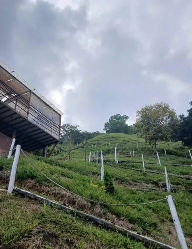 Casa Campestre En Venta Vda Portugal (279060517).