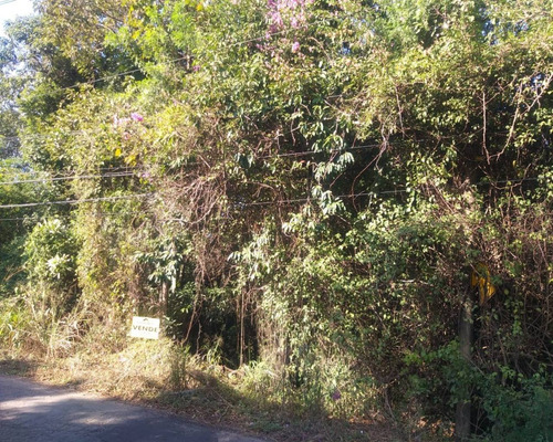 Imagem 5 de 7 de Terreno - Te00409 - 1516700