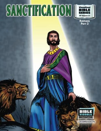 Sanctification: New Testament Volume 21: Romans Part 3 (visualized Bible Flash Card Format), De Habecker, Marilyn P.. Editorial Bible Visuals International, Tapa Blanda En Inglés
