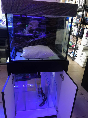 Aquario Cubo 50x50x50 + Sump - Vidro 8mm + Movel Preto
