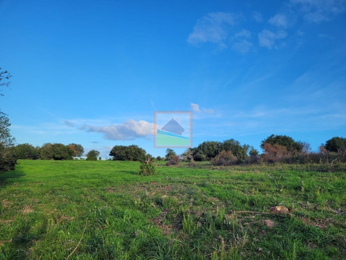 Imagen 6 de 26 de 70 Hectáreas De Campo Ganadero Corte De La Leña