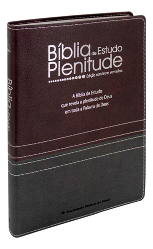 Bíblia De Estudo Plenitude Rc - Edição Com Letras Vermelhas, De Diversos Cooperadores. Editorial Sbb En Português