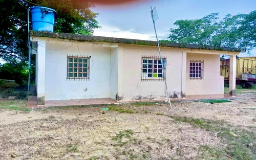 Inmobiliaria Mundo Inn Vende En Cojedes, Hermosa Finca Productiva