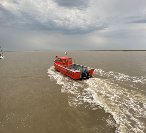 Imagen 7 de 15 de Barco Tracker Baader Track 9.80 0hs Embarcación De Trabajo