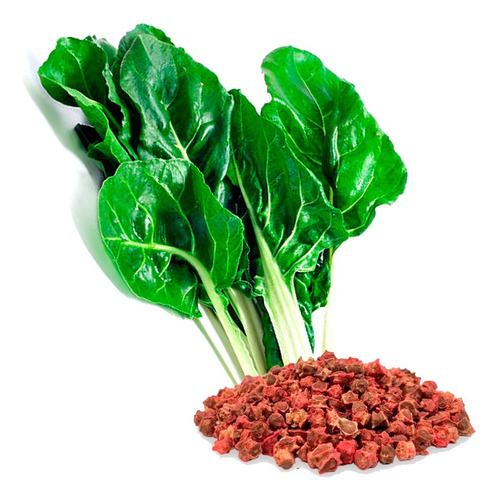 Acelga Verde 600 Semillas Para Siembra 10 Gr Var. Fordhook