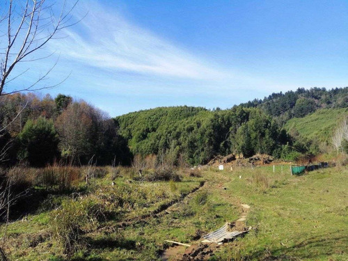Los Canles / Valle Nonguen