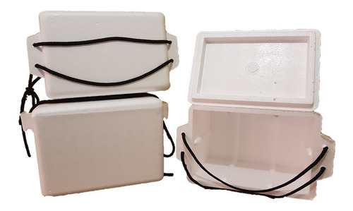 Hielera De Unicel Con Asa Capacidad 4.5 Litros Paq C/10 Pzs