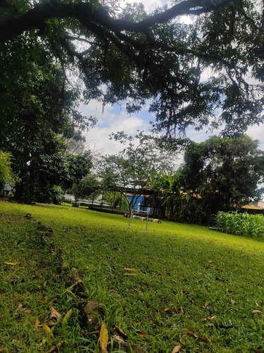 Imagem 3 de 15 de Cod.802 Sítio Em Barro Branco - Duque De Caxias - 13257