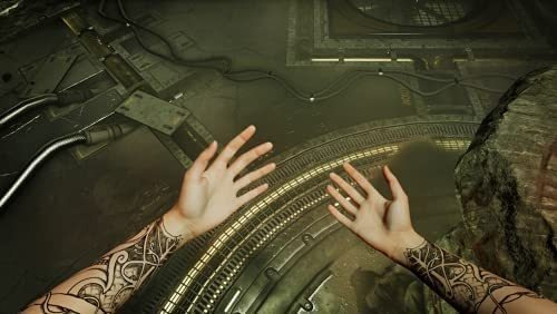 Juego Para Ps5. Apsulov: End Of Gods