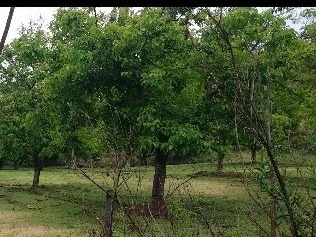 Vendo Finca Para Turismo Con Nogales En Famatina La Rioja Escucho Propuestas