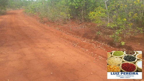 Imagem 9 de 15 de Fazenda Á Venda Em São Valerio - To - De 225 Alqueirões - 1586
