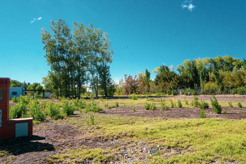 Imagen 6 de 26 de Terreno 1.000 M2 - B° Rincon De Natalia - Plottier