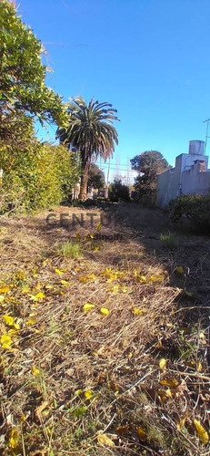 Imagen 3 de 3 de 485 E/ 23 Y 24 - Lote En Venta En Gonnet.-