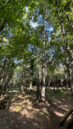Parcela Urbana En Venta, Gorbea