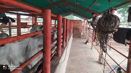 Imagen 8 de 8 de Finca En El Pao, El Baúl, Cojedes, De Oportunidad