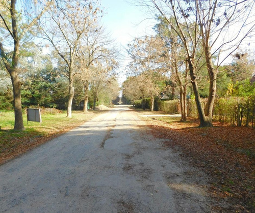 Imagen 14 de 21 de Venta Lote - Parquizado Y Con Perímetro- Parque Exaltación - Exaltacion De La Cruz