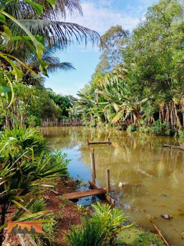 Imagem 30 de 30 de Chácara À Venda, 4034 M² Por R$ 1.500.000,00 - Residencial Burato - Campinas/sp - Ch0040
