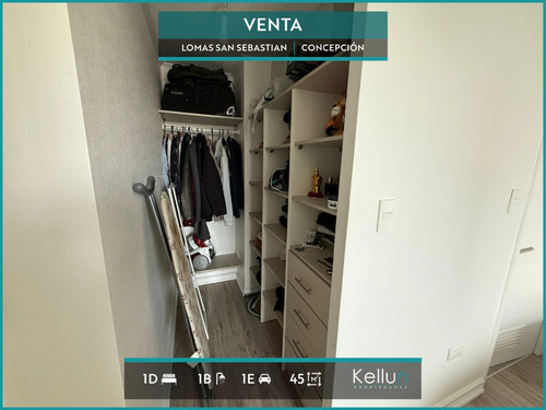 Departamento En Venta 1d | 1b | 1e En Lomas San Sebastian