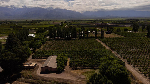 Finca En Venta En Tunuyán