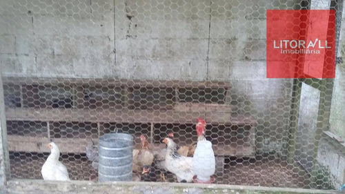 Imagem 27 de 30 de Chácara Residencial À Venda, Chácaras Bopiranga, Itanhaém. - Ch0023