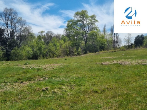 Villarrica Calfutue Camino A Lican Ray 5.500m2 Cod.vtap210