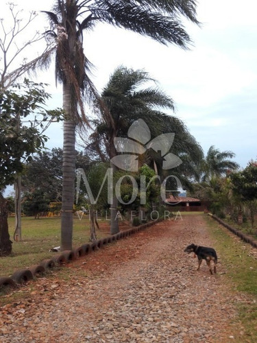 Imagem 6 de 30 de Chácara 11.000m² Em Engenheiro Coelho - Ch00014 - 33452159