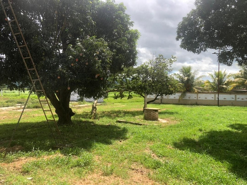 Imagen 15 de 19 de Vendo Granja Avícola Bejuma Dt